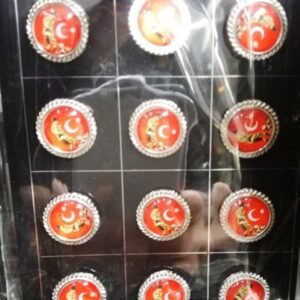 Ay Yıldız Bayraklı Atatürk Kocatepe'de Yaka Rozeti 12 Adet 1933mp