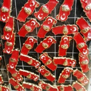 Türkiye Haritası Atatürk Yaka Rozeti 30 Adet 1968mp