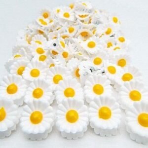 Mini Beyaz Papatya Mandal Toka 100 Adet 2243as