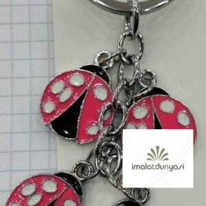 Metal Uğur Böceği Salkım Anahtarlık 250as